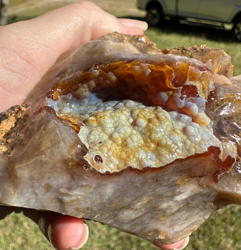 Savannah River Agate