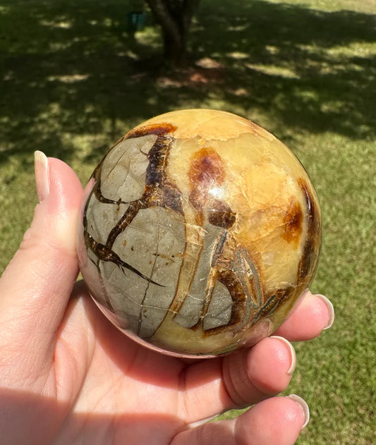 Septarian aka Dragon Stone