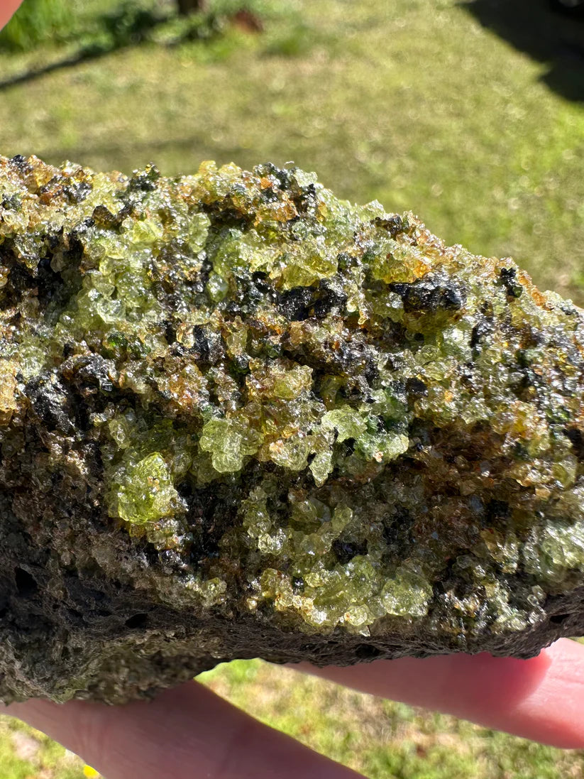 Peridot From Peridot Mesa, Arizona San Carlos Basalt, Gila County ...