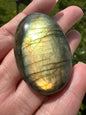 Oval Labradorite Cabochon 8a