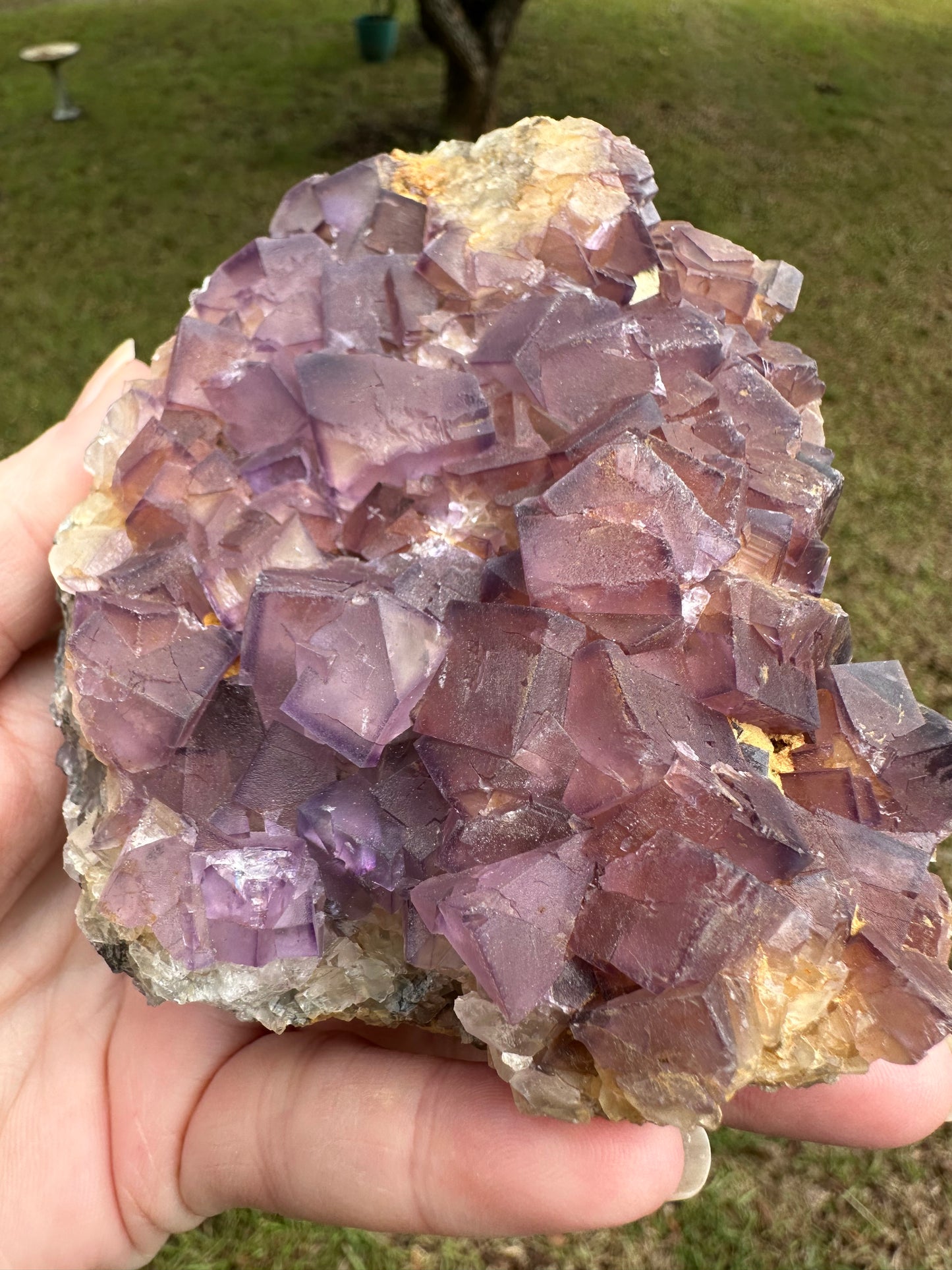 Cubic Purple Fluorite Specimen #5