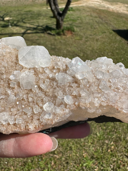 Apophyllite, Prehnite, Maharashtra, India