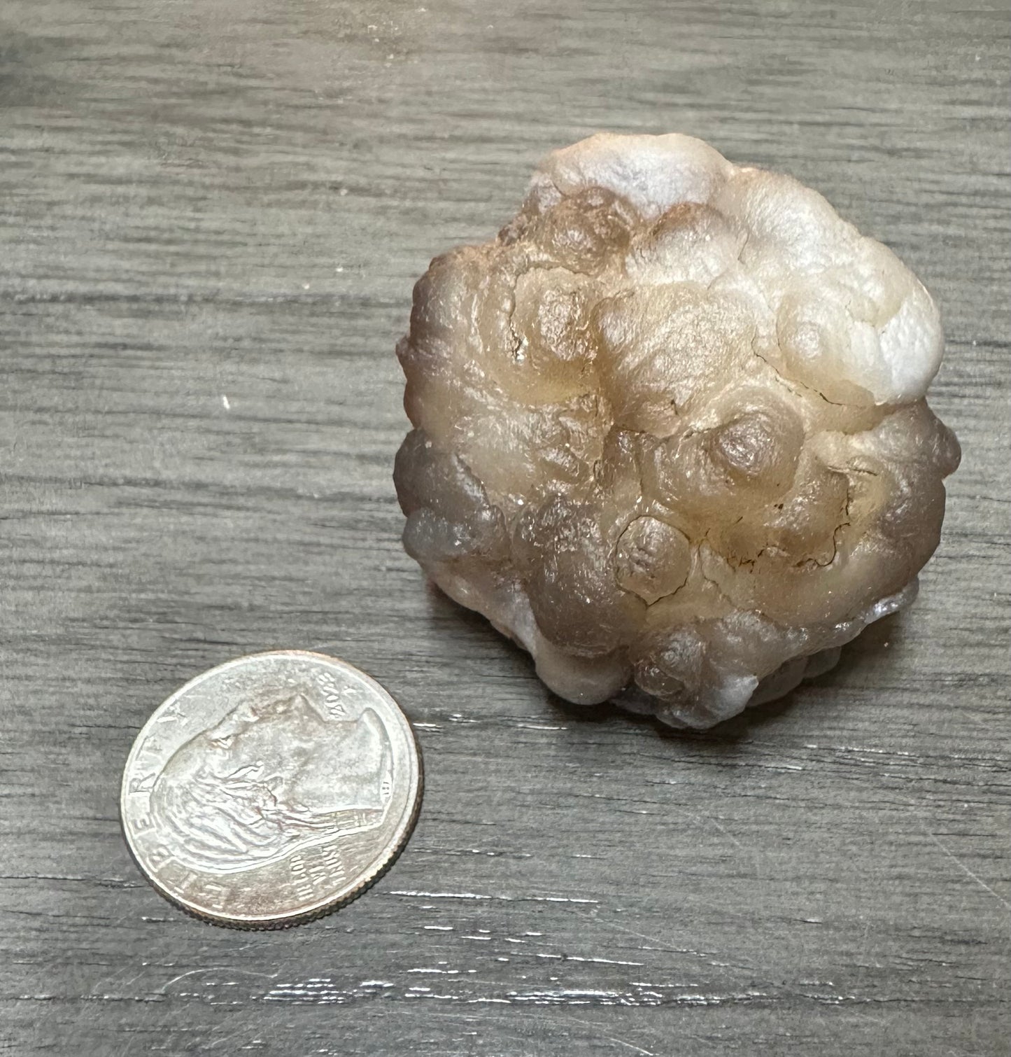 Panda Agate aka Truffle Chalcedony #1