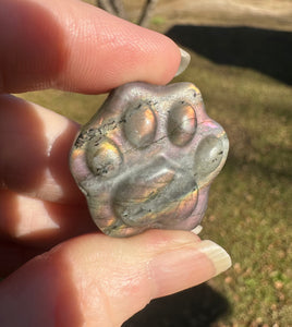 Carved Paw Print Labradorite with Case