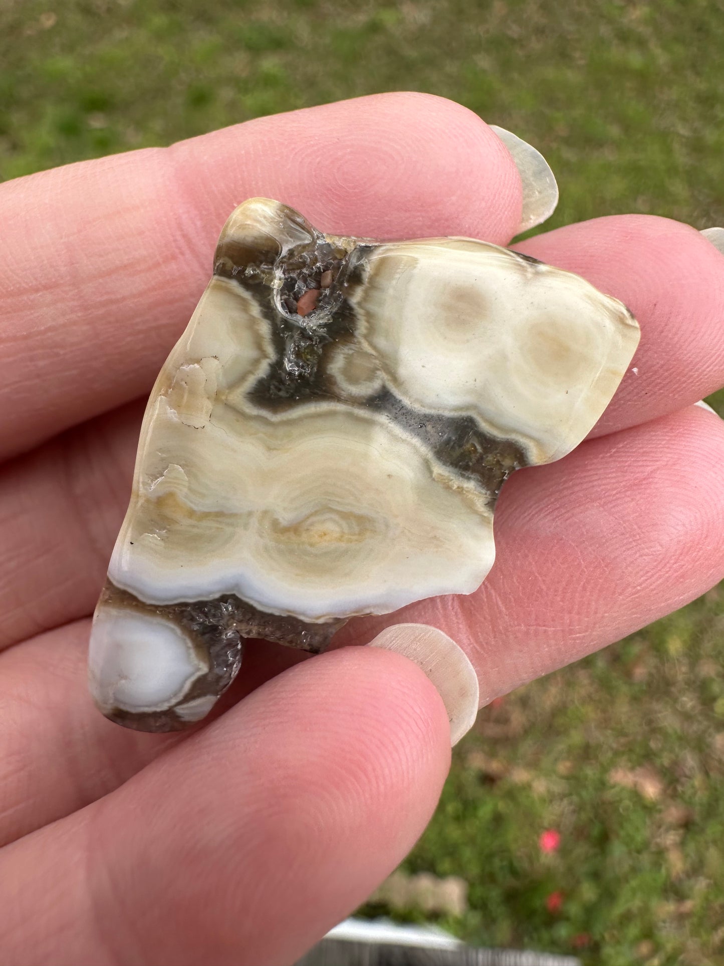 6th Vein Ocean Jasper Polished Freeform #36