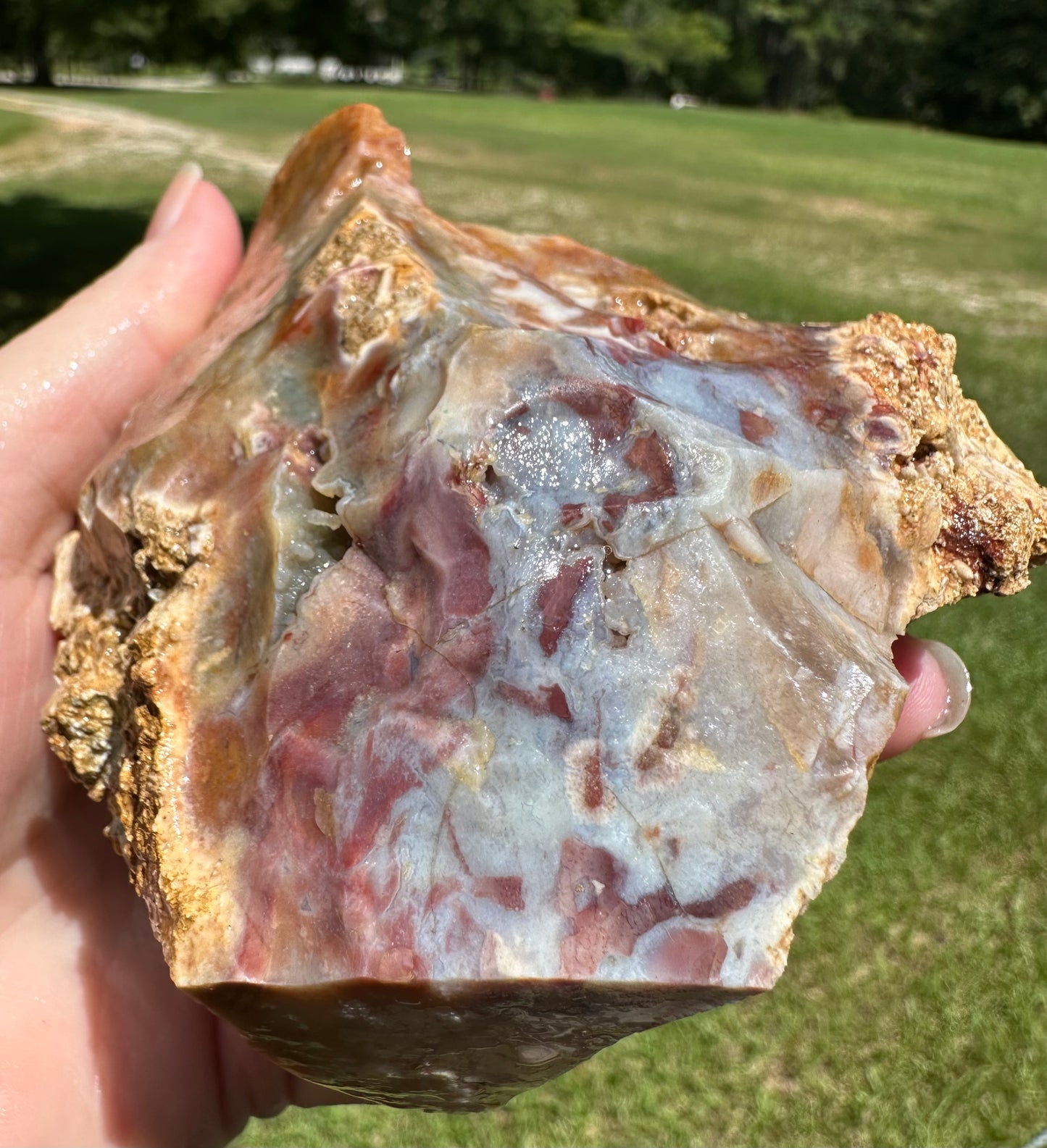 Savannah River Agate Specimen #52