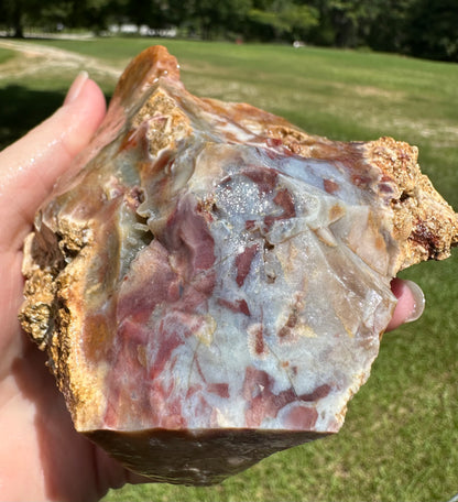 Savannah River Agate Specimen #52