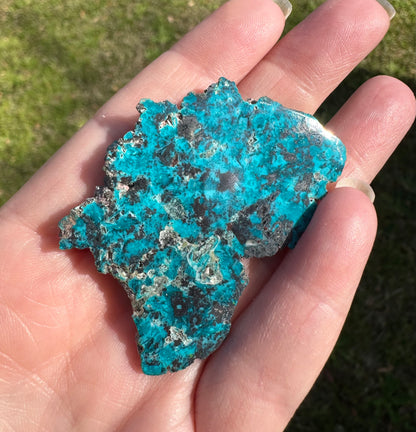 Chrysocolla, Shattuckite, Sonora, Mexico