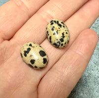 Dalmatian Jasper 18x13mm Cabochon Pair