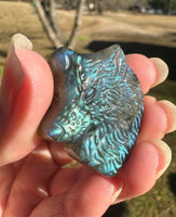 Carved Wolf Labradorite with Case #2