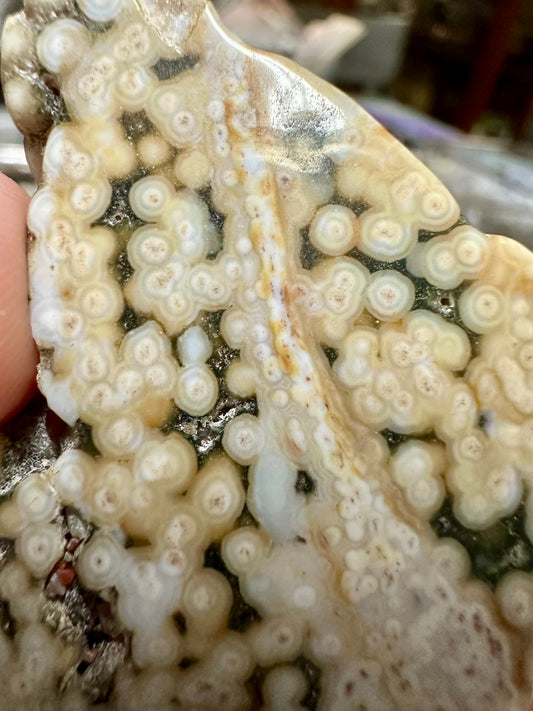 6th Vein Ocean Jasper Polished Freeform #1