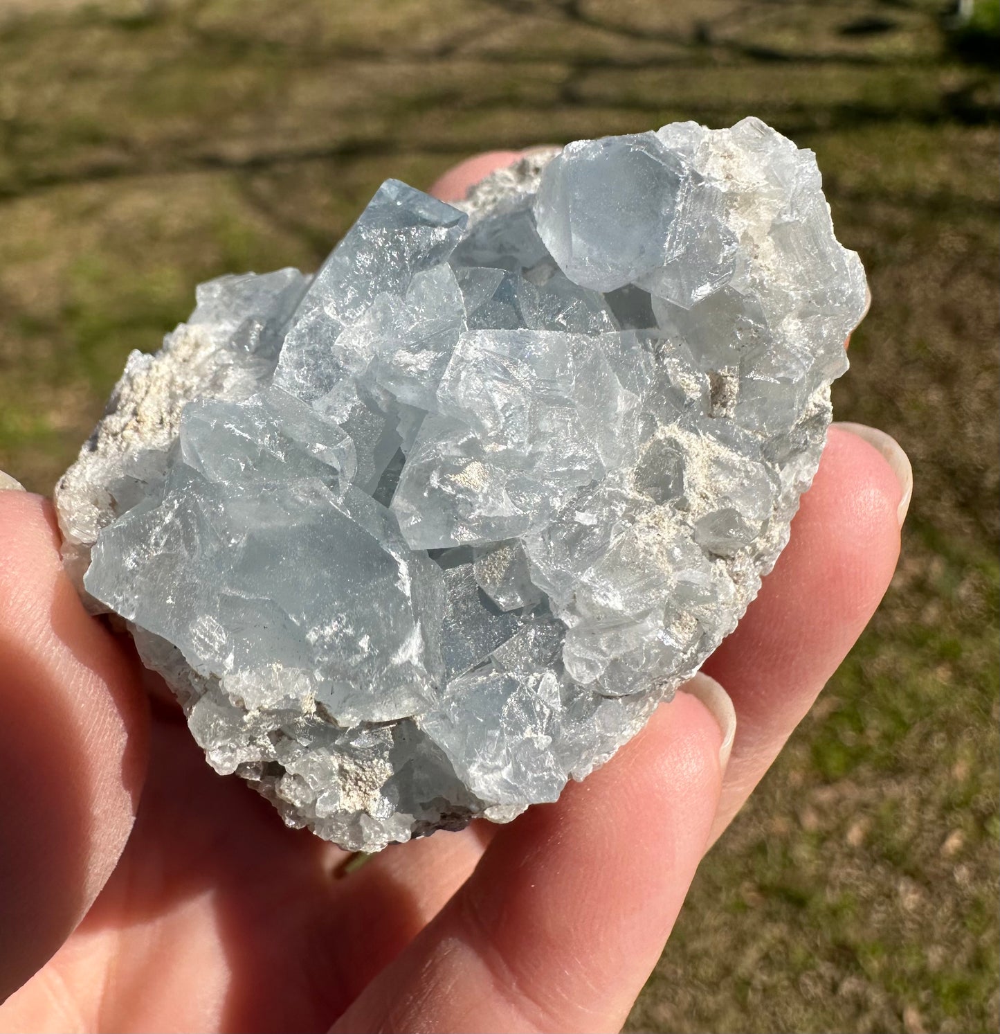 Celestite Cluster Specimen #7