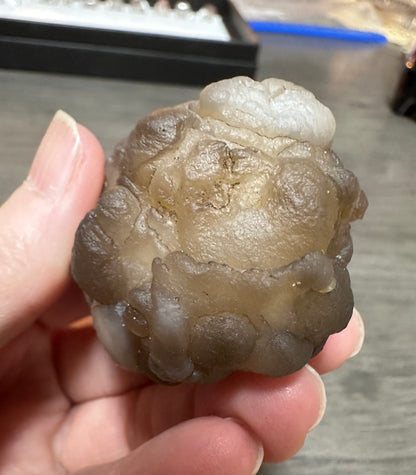 Panda Agate aka Truffle Chalcedony #1