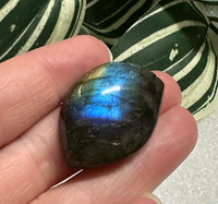 Labradorite Leaf Carving