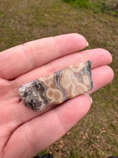 6th Vein Ocean Jasper Polished Freeform #27