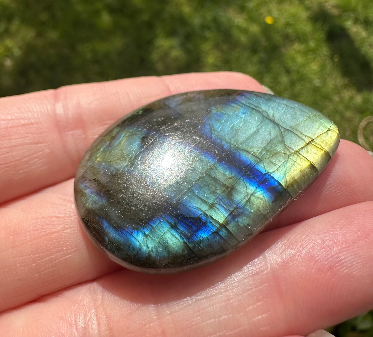 Pearshape Labradorite Cabochon 10a