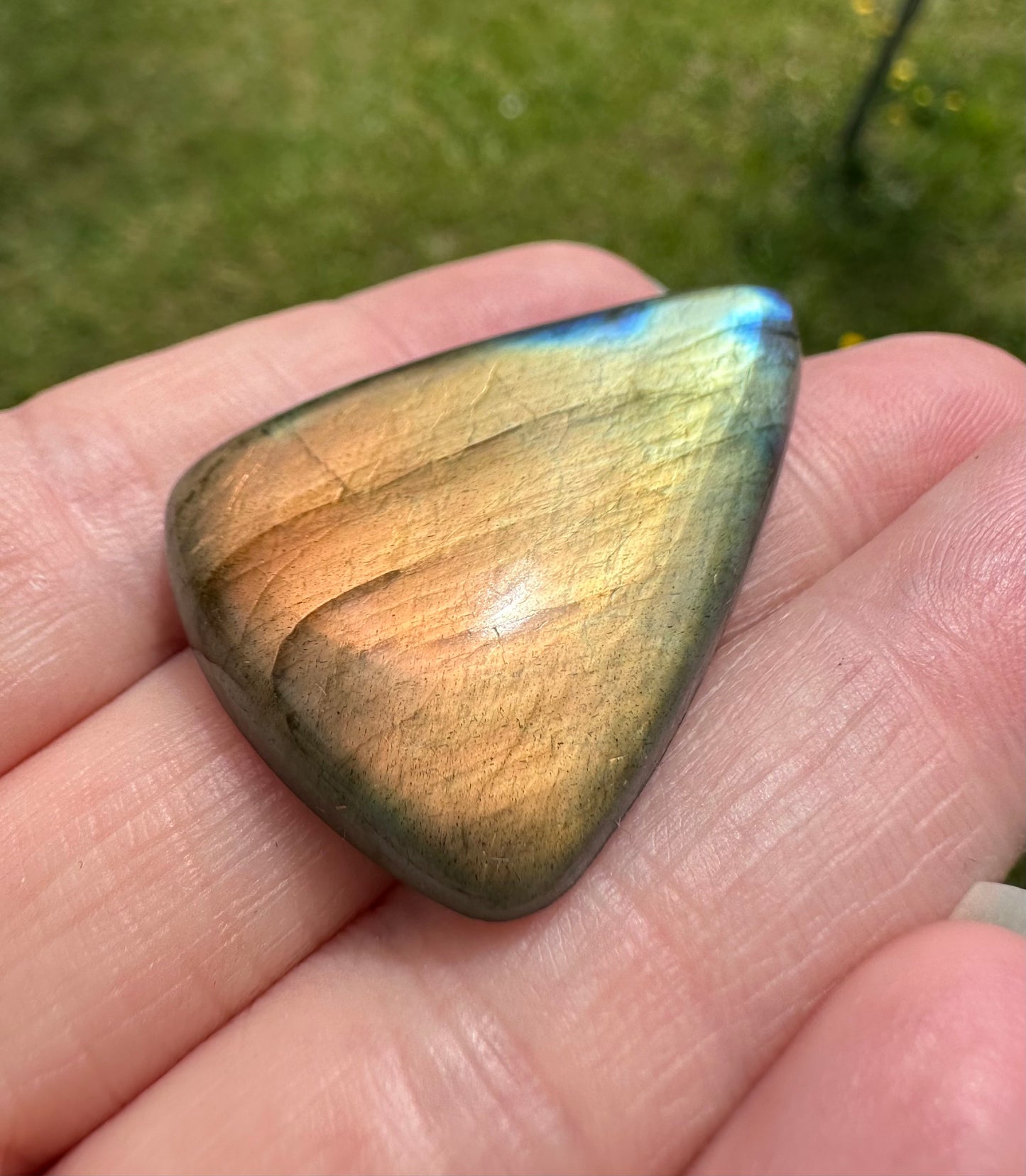 Pearshape Labradorite Cabochon 19a