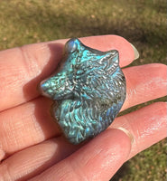 Carved Wolf Labradorite with Case #2