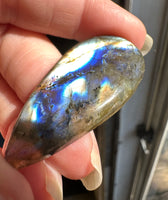 Pearshape Labradorite Cabochon 77a