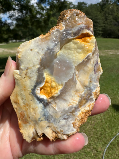 Savannah River Agate Specimen #29