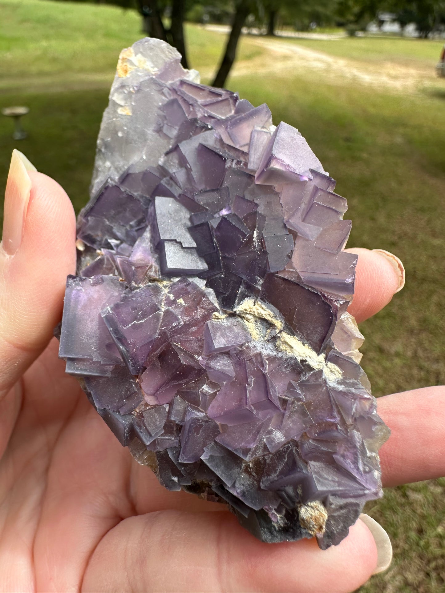 Cubic Purple Fluorite Specimen #2