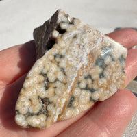 6th Vein Ocean Jasper Polished Freeform #1