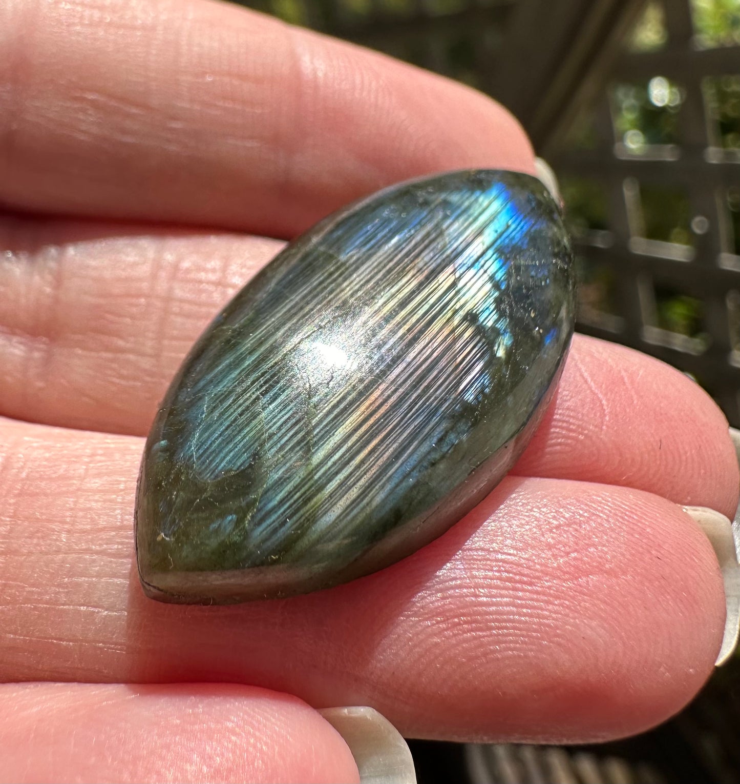 Marquise Labradorite Cabochon 57a