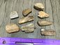 Petrified Wood from Missouri