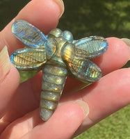 Labradorite Firefly With Case