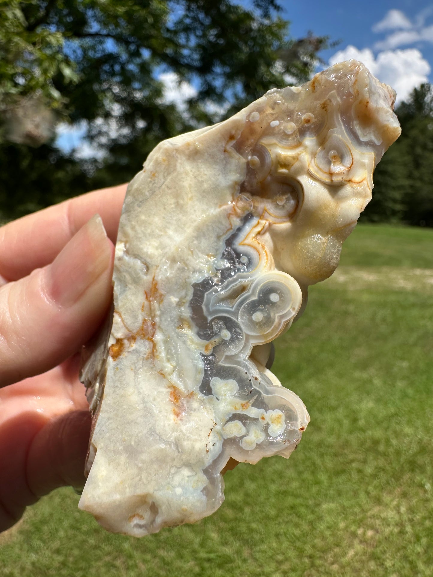 Savannah River Agate Specimen #44