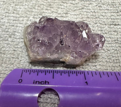 Amethyst Cluster Specimen #27