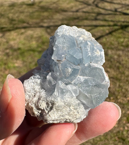 Celestite Cluster Specimen #8