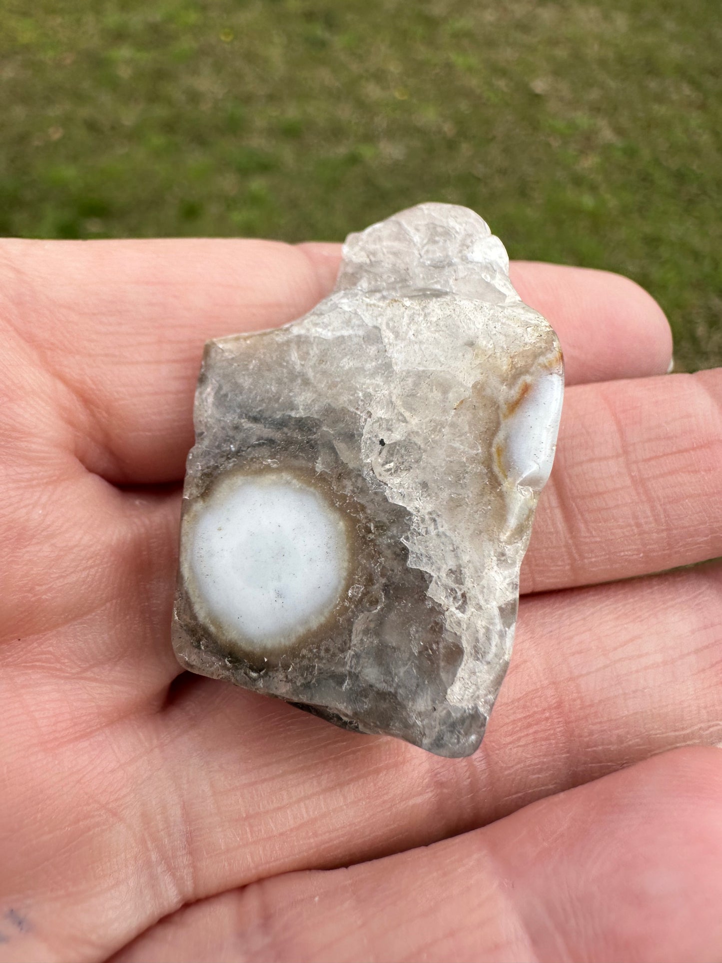 6th Vein Ocean Jasper Polished Freeform #35