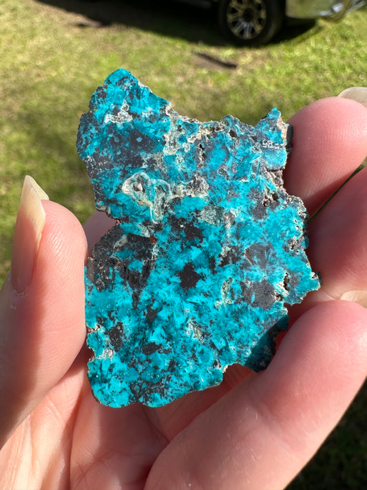 Chrysocolla, Shattuckite, Sonora, Mexico