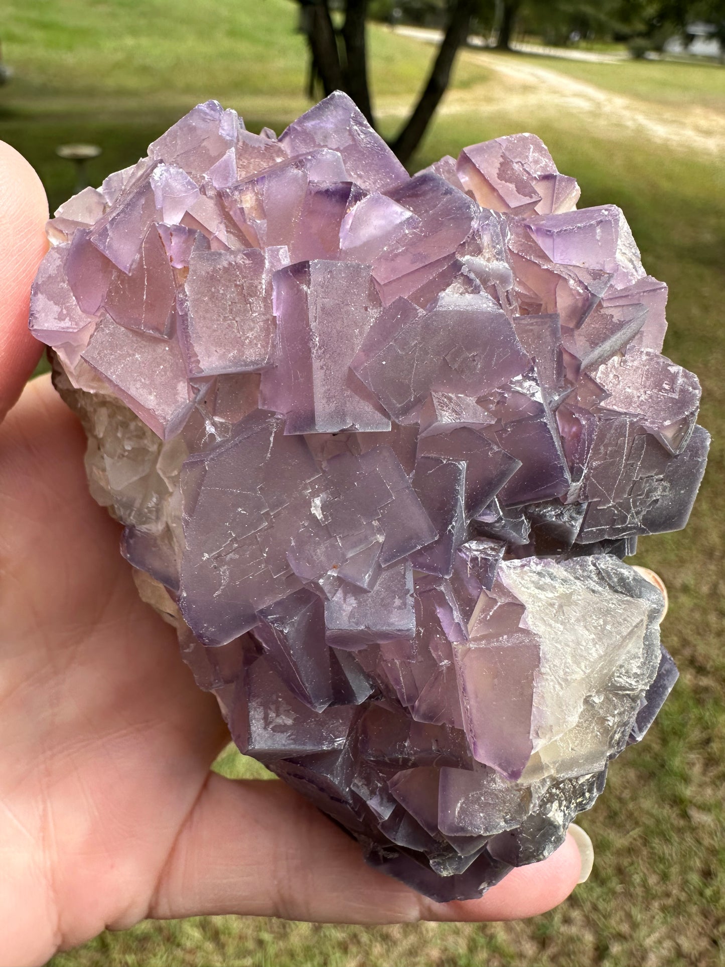 Cubic Purple Fluorite Specimen #1