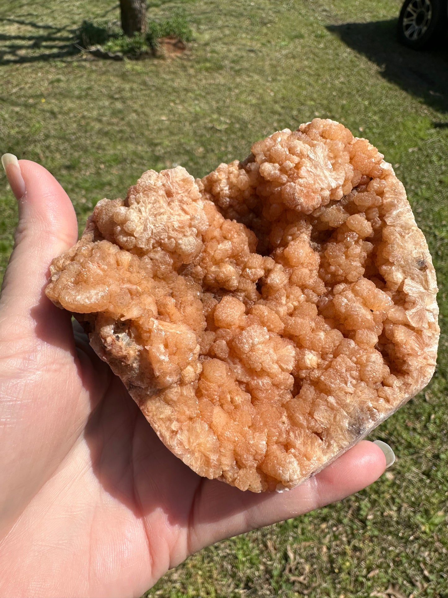 Stilbite, Uran Quarry, Maharashtra, India