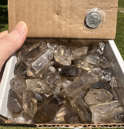 Smokey Quartz Points