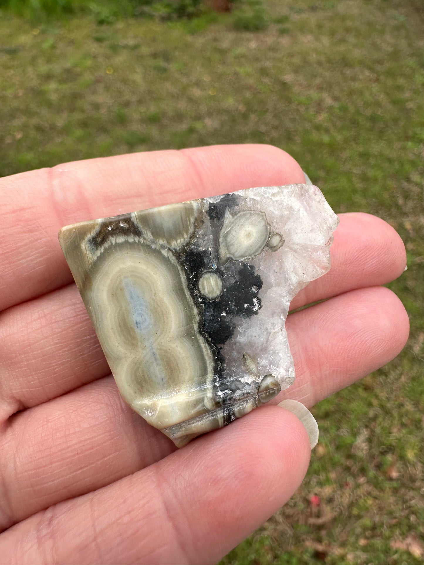 6th Vein Ocean Jasper Polished Freeform #30