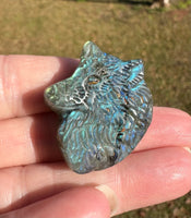 Carved Wolf Labradorite with Case