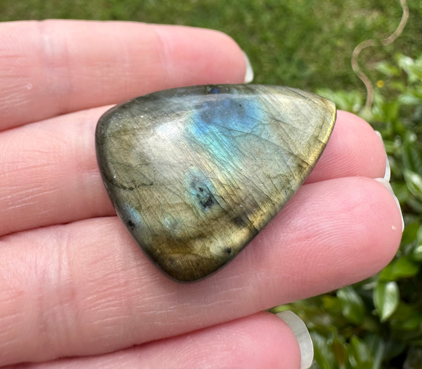 Pearshape Labradorite Cabochon 14a