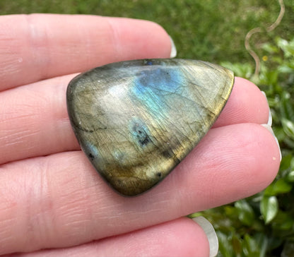 Pearshape Labradorite Cabochon 14a