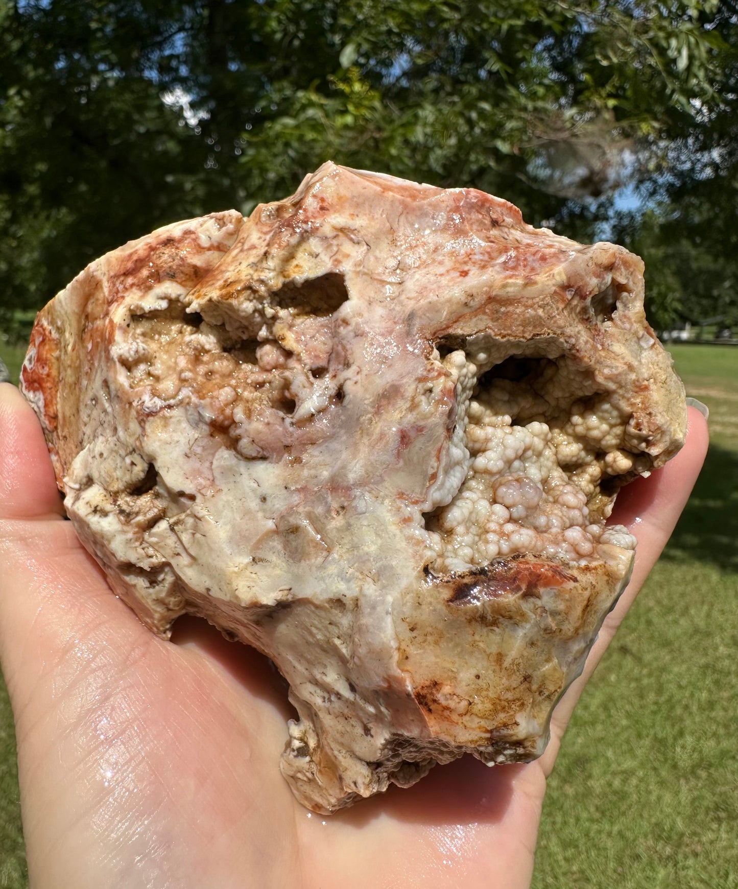 Savannah River Agate Specimen #50 Pastels