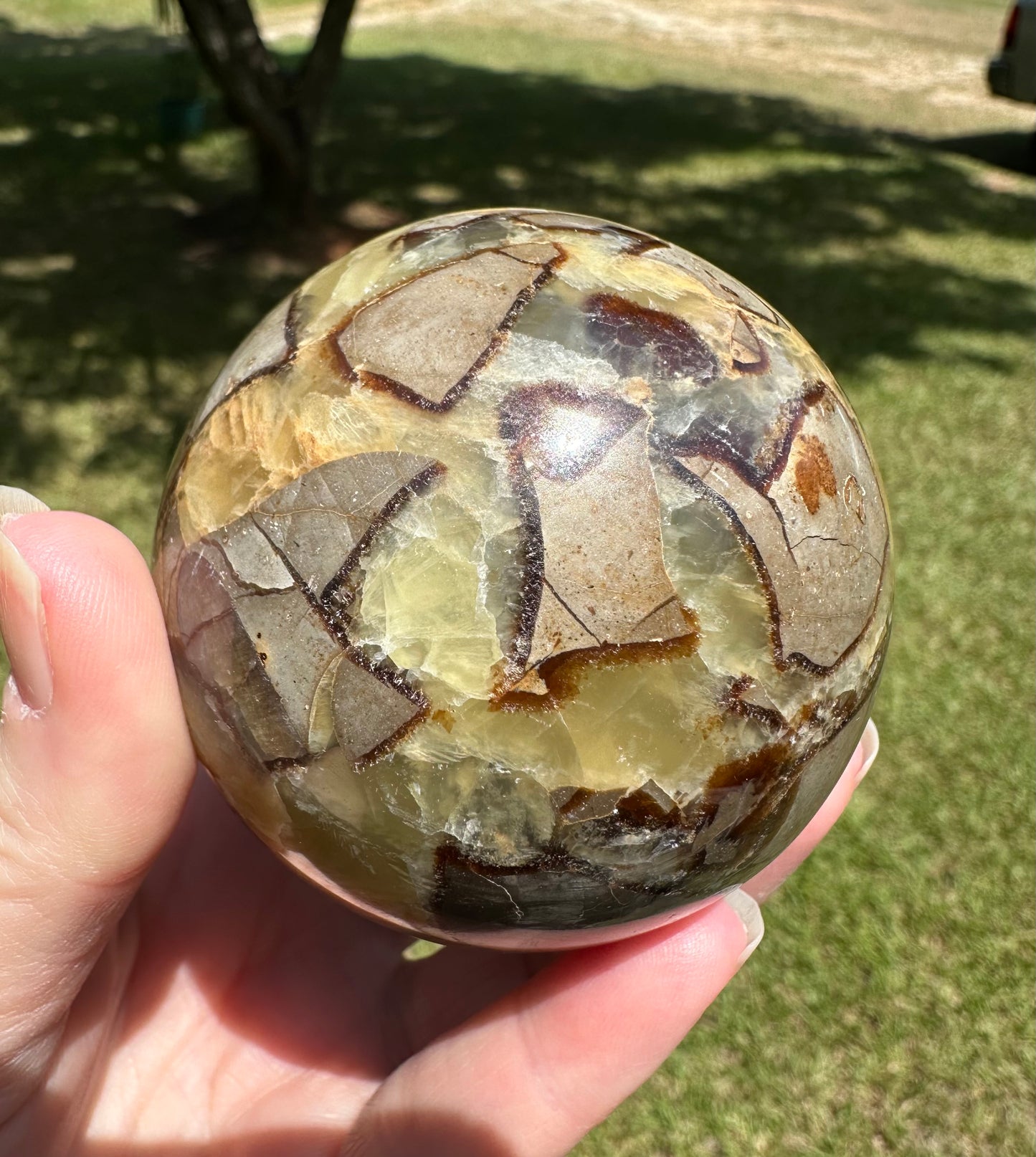 Septarian Sphere UV Reactive #1