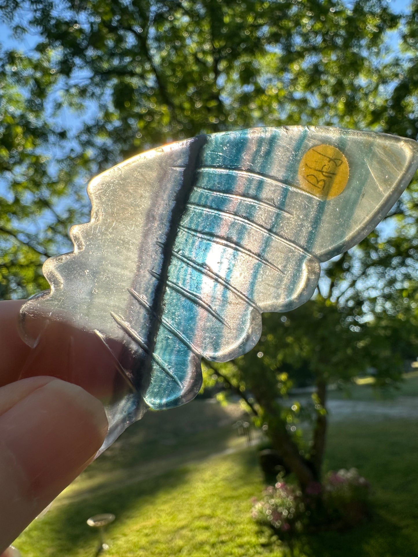 Fluorite Butterfly Wings & Stand #2