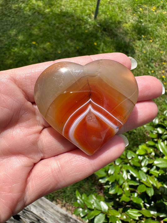 Carnelian Heart Palm Stone #8