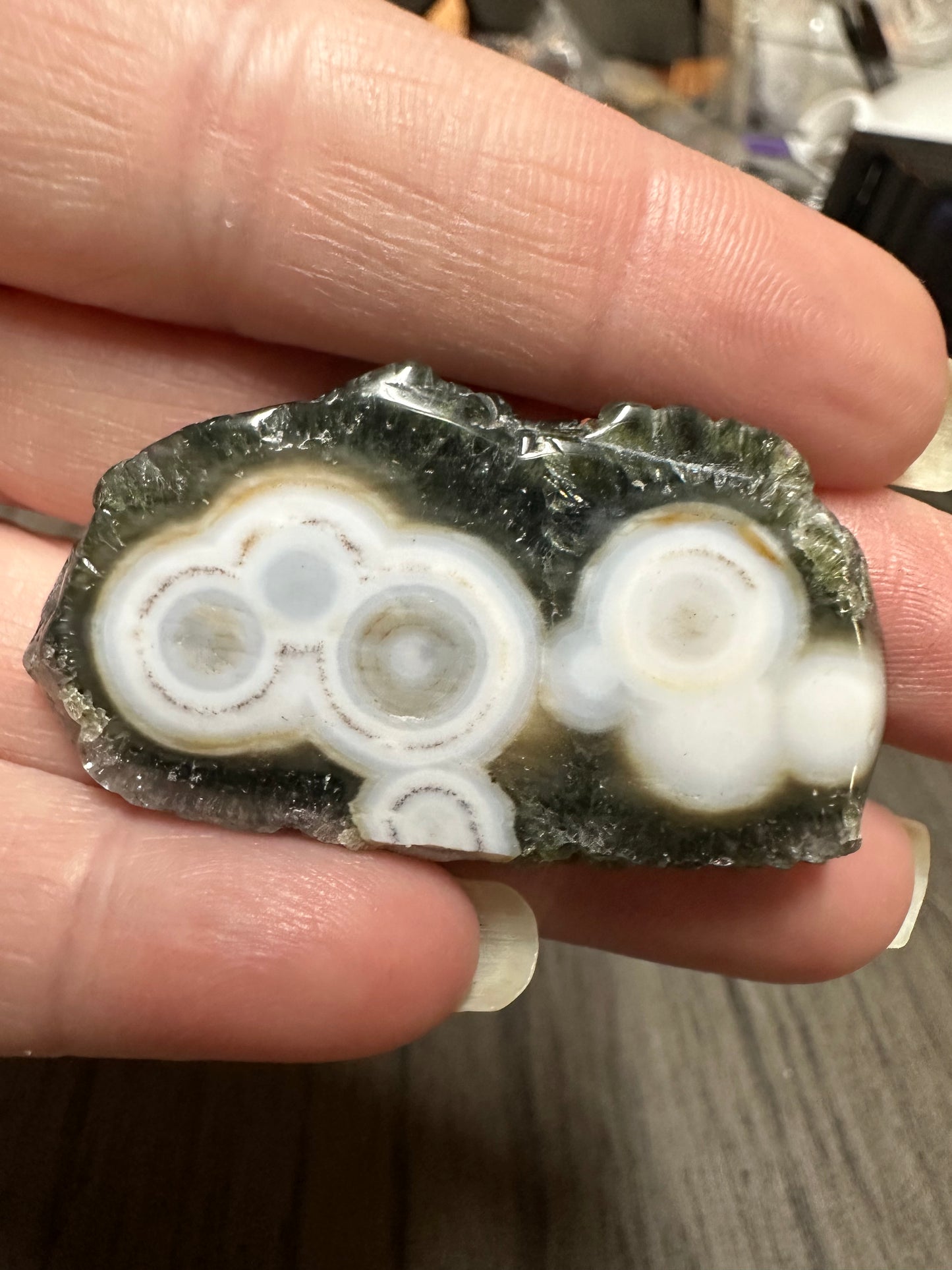 6th Vein Ocean Jasper Polished Freeform with Case