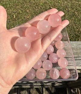 Six Star Line Rose Quartz Spheres