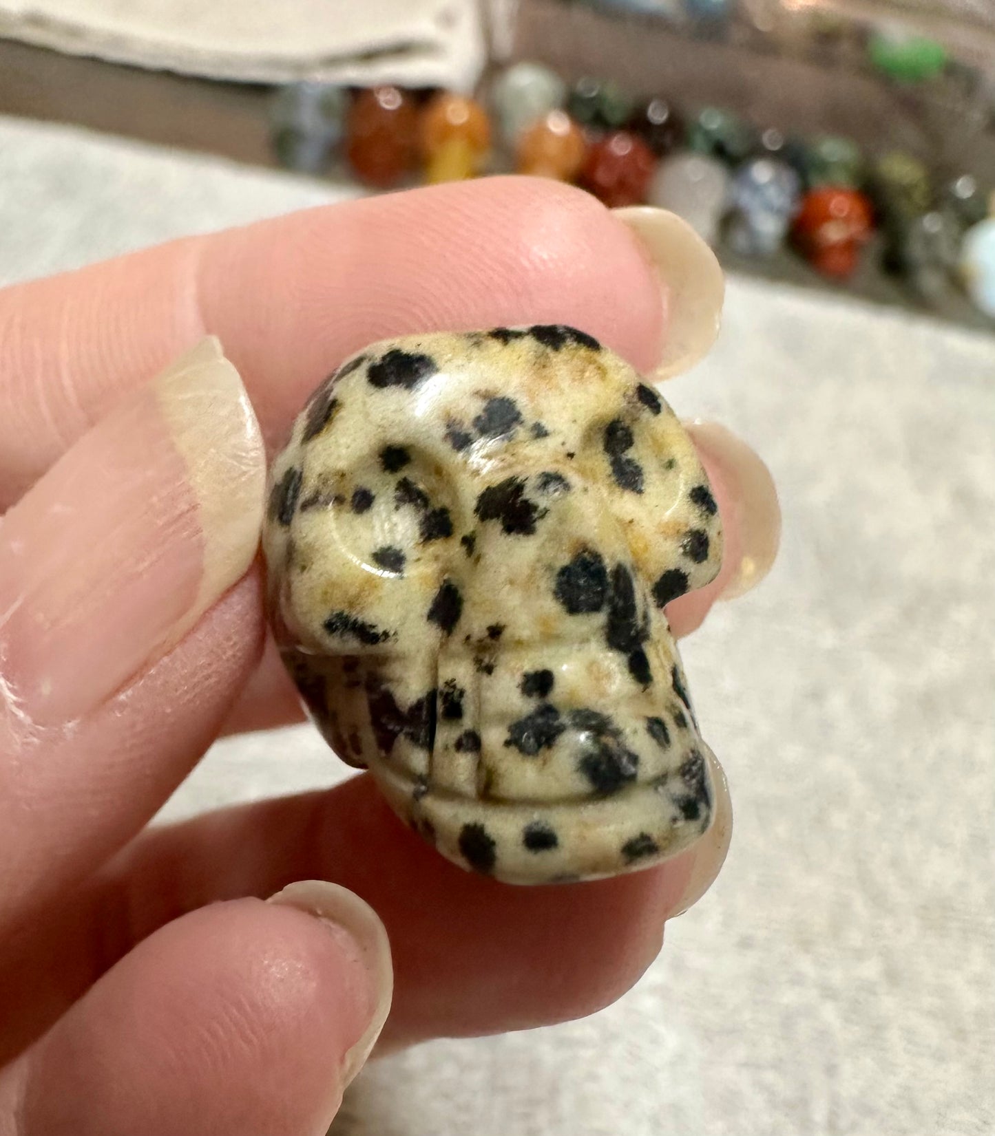 Dalmation Jasper Skull