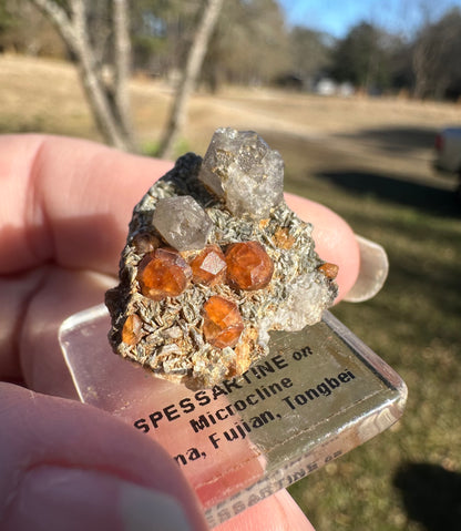 Spessartine Garnet Crystals with Quartz on Microcline Matrix