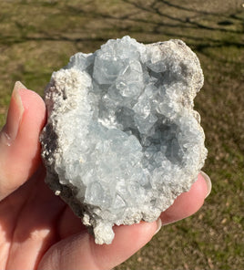 Celestite Cluster Specimen #11